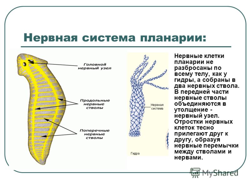 Кракен торговая площадка